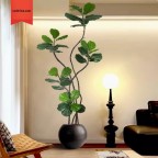 Cây cảnh giả Ficus